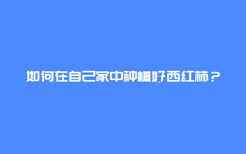 如何在自己家中种植好西红柿？