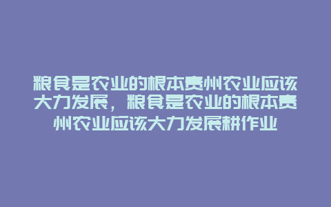 粮食是农业的根本贵州农业应该大力发展，粮食是农业的根本贵州农业应该大力发展耕作业