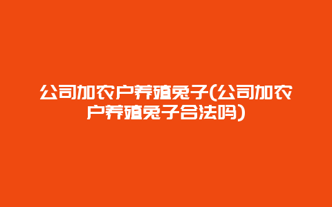 公司加农户养殖兔子(公司加农户养殖兔子合法吗)