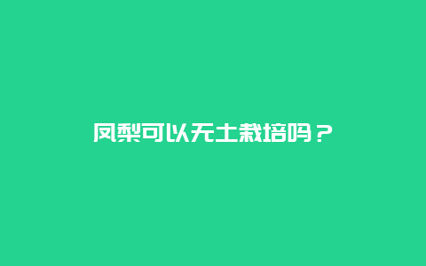 凤梨可以无土栽培吗？