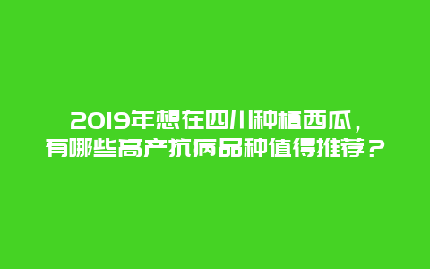 2019年想在四川种植西瓜，有哪些高产抗病品种值得推荐？