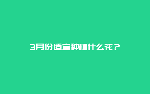 3月份适宜种植什么花？