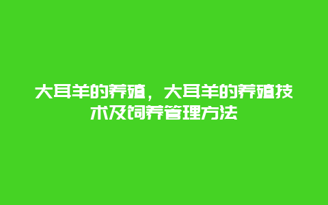 大耳羊的养殖，大耳羊的养殖技术及饲养管理方法