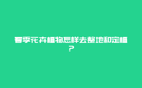 春季花卉植物怎样去整地和定植？