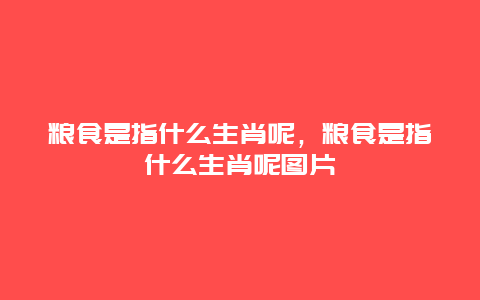 粮食是指什么生肖呢，粮食是指什么生肖呢图片