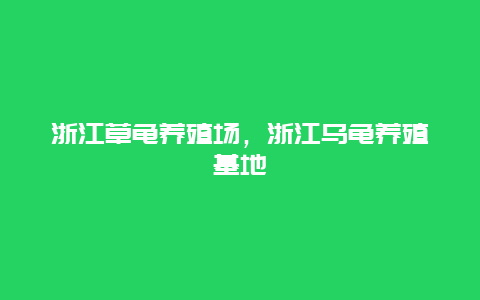 浙江草龟养殖场，浙江乌龟养殖基地