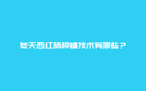 冬天西红柿种植技术有哪些？