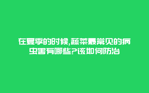 在夏季的时候,蔬菜最常见的病虫害有哪些?该如何防治