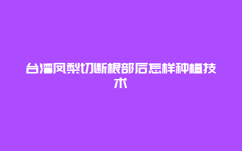 台湾凤梨切断根部后怎样种植技术