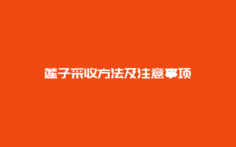 莲子采收方法及注意事项