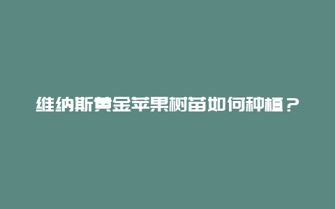 维纳斯黄金苹果树苗如何种植？