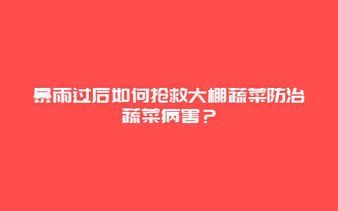 暴雨过后如何抢救大棚蔬菜防治蔬菜病害？