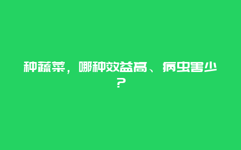 种蔬菜，哪种效益高、病虫害少？