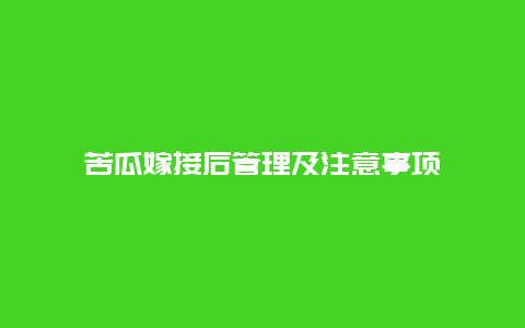 苦瓜嫁接后管理及注意事项