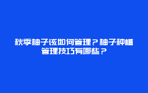 秋季柚子该如何管理？柚子种植管理技巧有哪些？