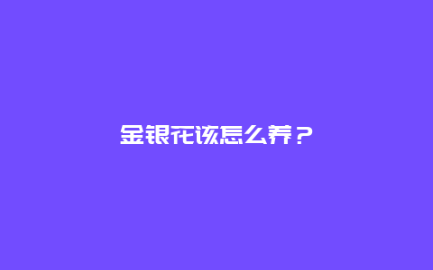 金银花该怎么养？