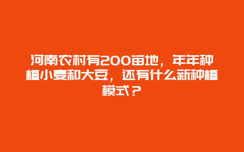 河南农村有200亩地，年年种植小麦和大豆，还有什么新种植模式？