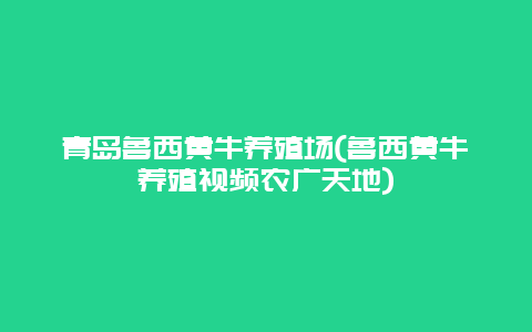 青岛鲁西黄牛养殖场(鲁西黄牛养殖视频农广天地)