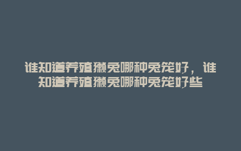 谁知道养殖獭兔哪种兔笼好，谁知道养殖獭兔哪种兔笼好些