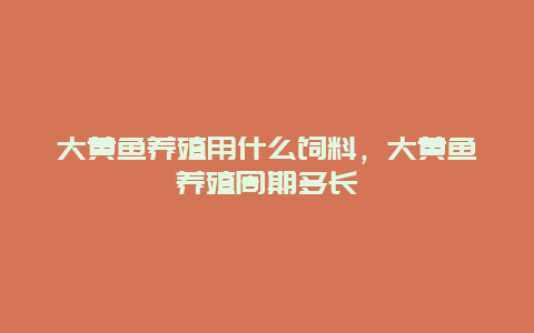 大黄鱼养殖用什么饲料，大黄鱼养殖周期多长