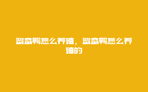 鸳鸯鸭怎么养殖，鸳鸯鸭怎么养殖的