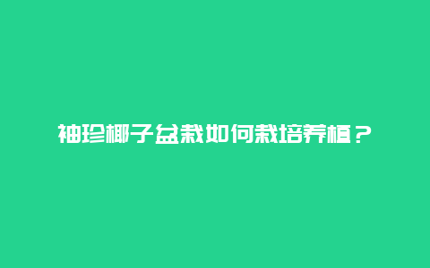 袖珍椰子盆栽如何栽培养植？