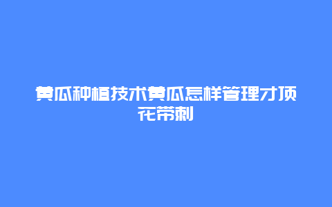 黄瓜种植技术黄瓜怎样管理才顶花带刺