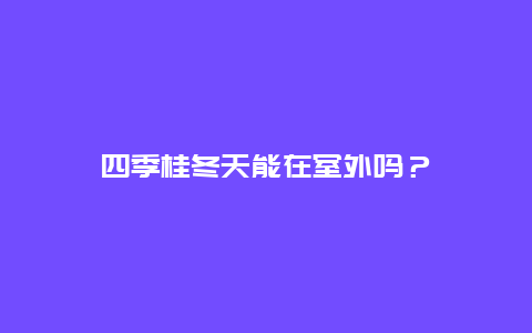 四季桂冬天能在室外吗？