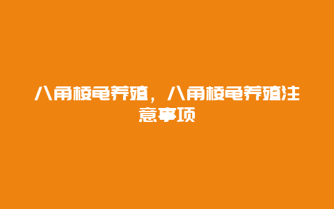 八角棱龟养殖，八角棱龟养殖注意事项