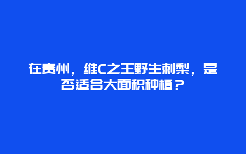 在贵州，维C之王野生刺梨，是否适合大面积种植？