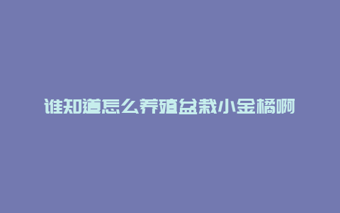 谁知道怎么养殖盆栽小金橘啊