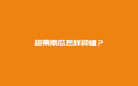 甜栗南瓜怎样种植？