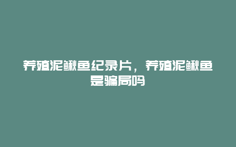 养殖泥鳅鱼纪录片，养殖泥鳅鱼是骗局吗