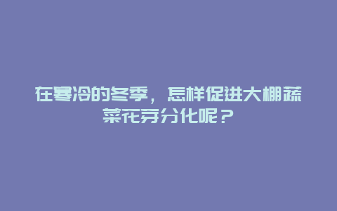 在寒冷的冬季，怎样促进大棚蔬菜花芽分化呢？