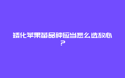 矮化苹果苗品种应当怎么选放心？