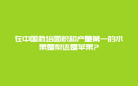 在中国栽培面积和产量第一的水果是梨还是苹果?