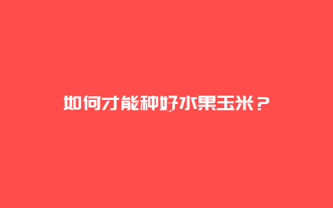 如何才能种好水果玉米？