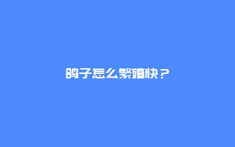 鸽子怎么繁殖快？