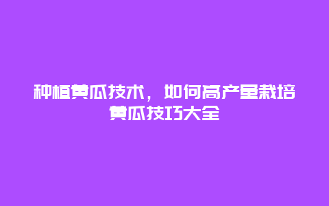 种植黄瓜技术，如何高产量栽培黄瓜技巧大全