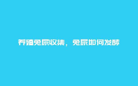 养殖兔尿收集，兔尿如何发酵