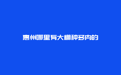 惠州哪里有大棚种多肉的