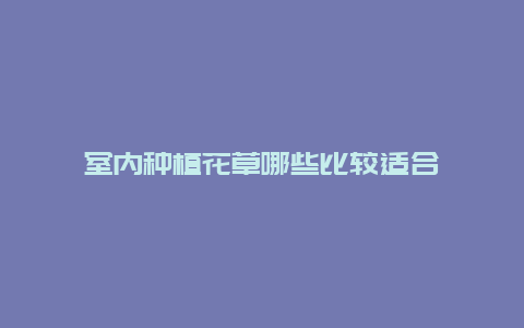 室内种植花草哪些比较适合