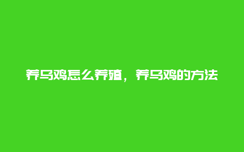 养乌鸡怎么养殖，养乌鸡的方法