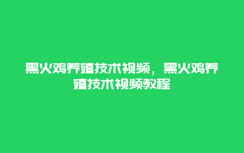 黑火鸡养殖技术视频，黑火鸡养殖技术视频教程