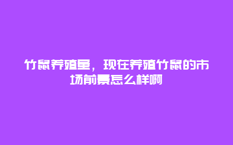 竹鼠养殖量，现在养殖竹鼠的市场前景怎么样啊