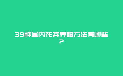 39种室内花卉养殖方法有哪些?