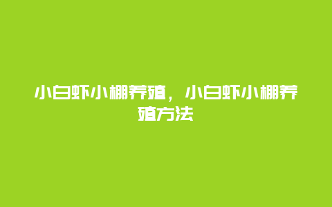 小白虾小棚养殖，小白虾小棚养殖方法