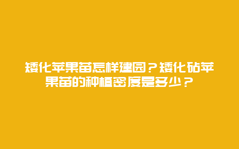 矮化苹果苗怎样建园？矮化砧苹果苗的种植密度是多少？