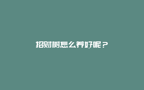 招财树怎么养好呢？