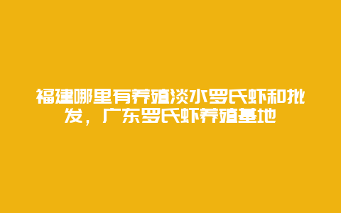 福建哪里有养殖淡水罗氏虾和批发，广东罗氏虾养殖基地